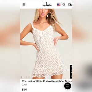 NWT Large Lulus Charmaine White Embroidered Mini Dress,Floral,Sheer,Nude,Spring